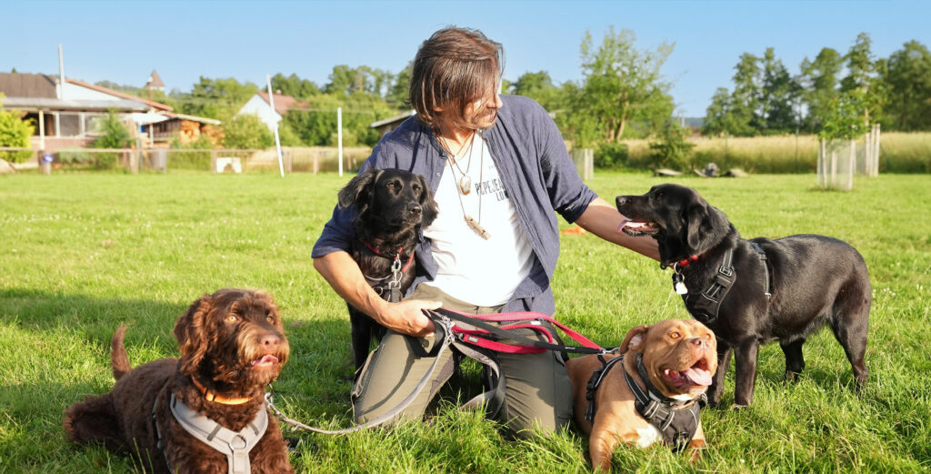 Ingmar Bergmann, Hundetrainer