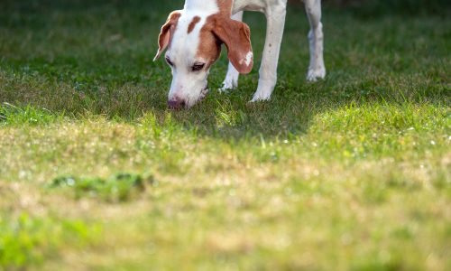 AdobeStock_424501686